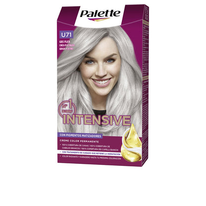 PALETTE - Cabello - PALETTE INTENSIVE / (17 opciones)