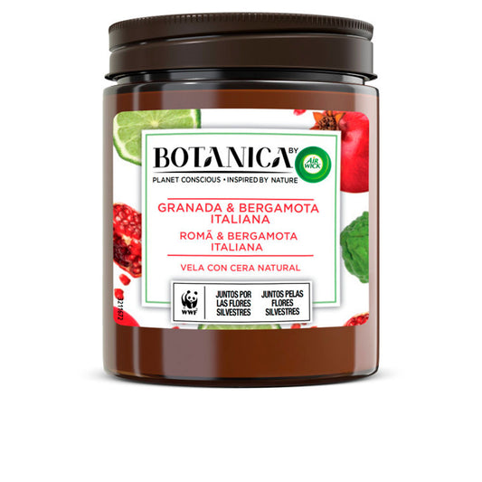 AIR-WICK - Hogar - BOTANICA / (2 opciones)