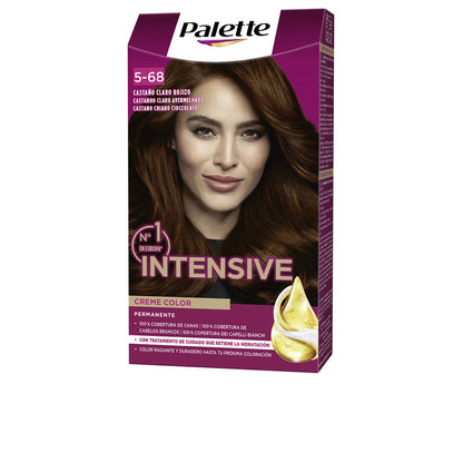 PALETTE - Cabello - PALETTE INTENSIVE / (17 opciones)