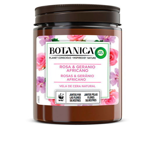 AIR-WICK - Hogar - BOTANICA / (2 opciones)