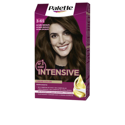 PALETTE - Cabello - PALETTE INTENSIVE / (17 opciones)