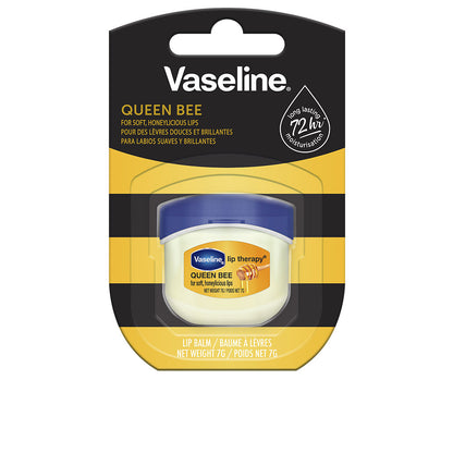 VASELINE - Cosmética Facial - CUIDADO LABIAL / (7 opciones)