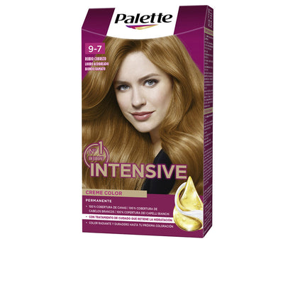 PALETTE - Cabello - PALETTE INTENSIVE / (17 opciones)