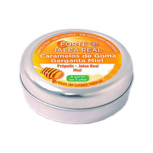 FORTÉ PHARMA - Alimentación - FORTÉ JALEA REAL / (6 opciones)