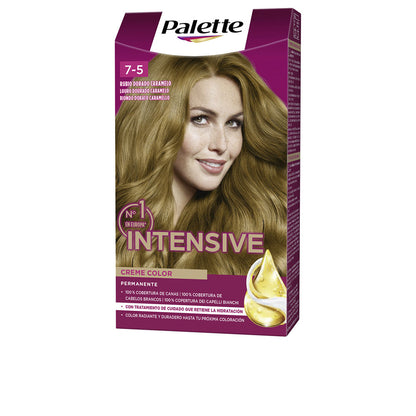 PALETTE - Cabello - PALETTE INTENSIVE / (17 opciones)